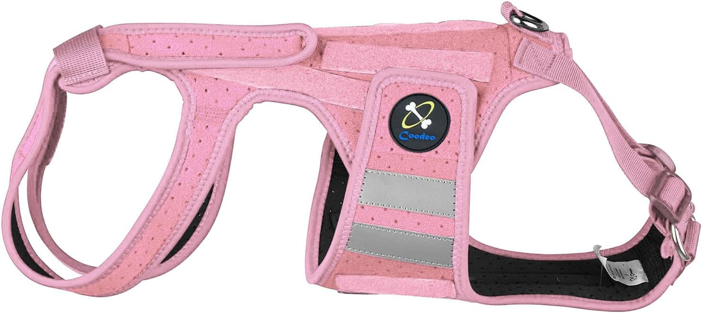 Coodeo Dog Back Brace for Dogs Arthritis, Pet Back Bracer for IVDD, Back Protector Helps Pain Relief, Surgical Recovery and Rehabilitation, Dogs Back Disease Prevention. (Pink,Medium)