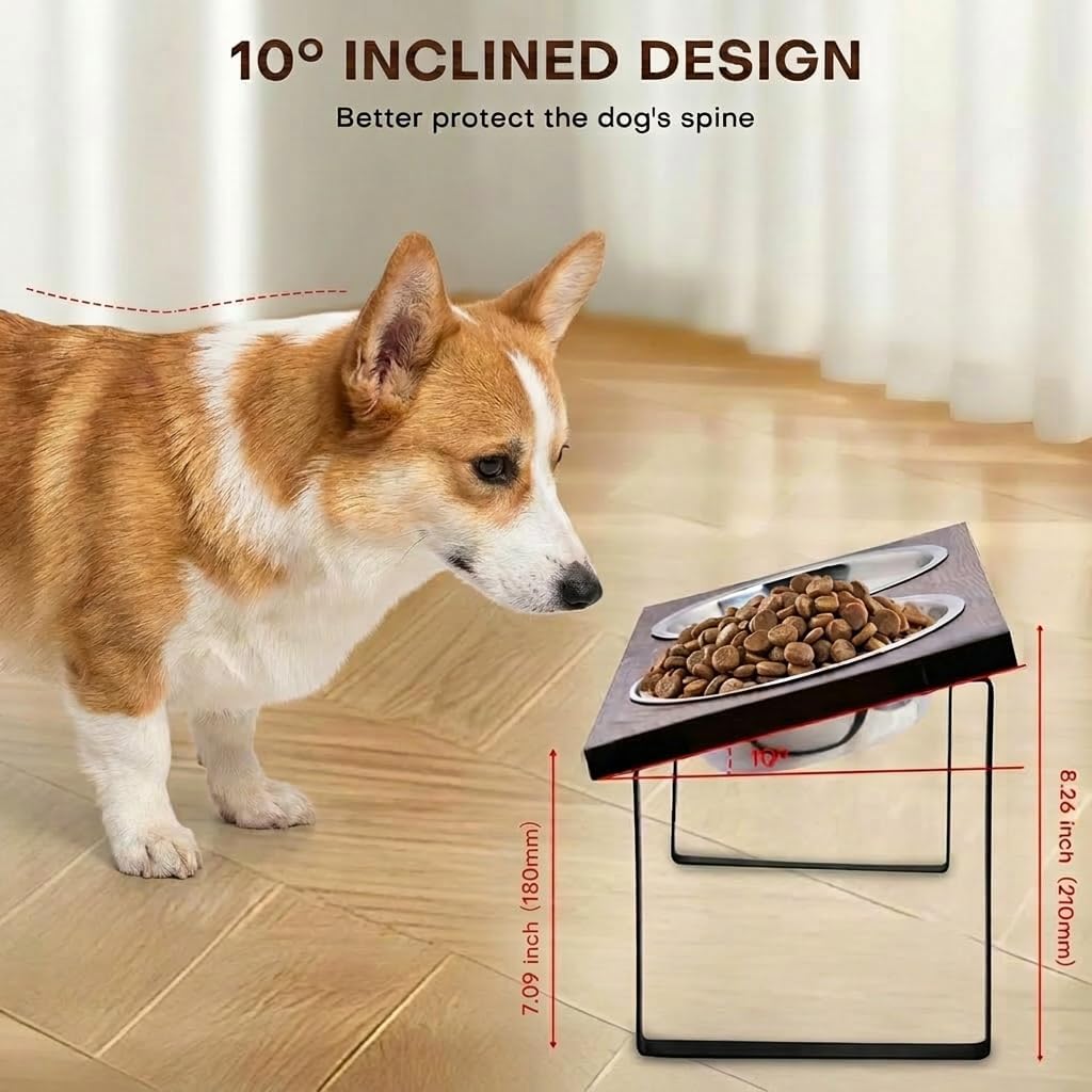 Elevated Dog Bowl Stand for Medium and Large Dogs, MDF Raised Dog Feeder with 2 Stainless Steel Bowls, Tilted Dog Food and Water Dish Set, Wooden Pet Feeding Station (Black)
