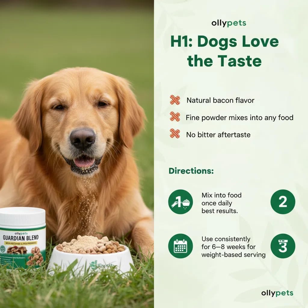 Ollypets Guardian Blend – 11-Mushroom Daily Support Powder for Dogs | Promotes Healthy Skin, Coat & Immune Function | Natural Formula, Bacon Flavor, Mixes Easily with Food