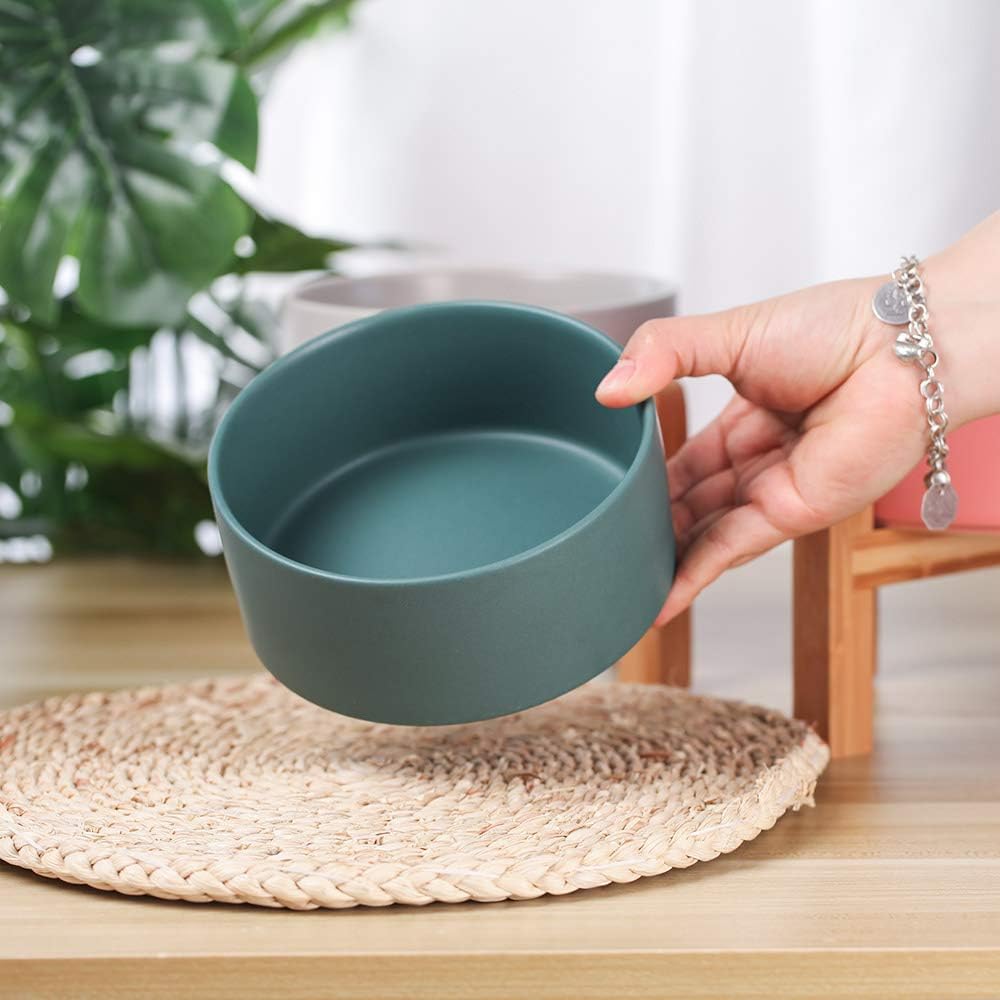 Green Ceramic Elevated Raised Cat Bowl with Wood Stand No Spill Pet Food Water Feeder Cats Small Dogs