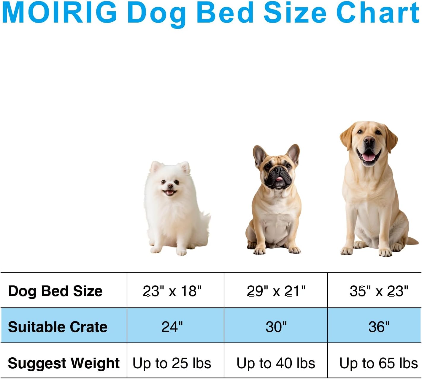2 Pack Washable Dog Bed, Deluxe Plush Dog Crate Beds with Anti-Slip, Comfy Kennel Pad Pet Sleeping Mat for Large, Medium and Small Dogs (2 Pack x Navy, 23.0" L x 18.0" W x 3.0" Th)