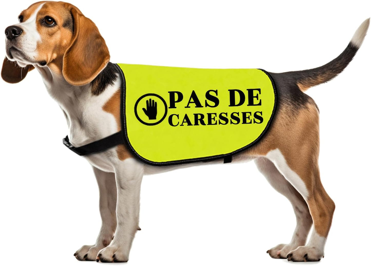 Dog Slogan Jacke Vest Anxiety Vests Pas De Caresses Dog Vests Dogs Trainer Gift Dogs Walking Warning (CARESSES-Medium)