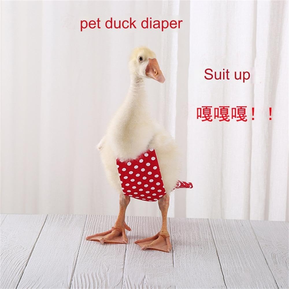 BaronHong Pet Chicken Diapers Print Duck Diapers Washable Goose Clothes Reusable Farm Pet Diapers Waterproof Bow Tie (Avocado,M)