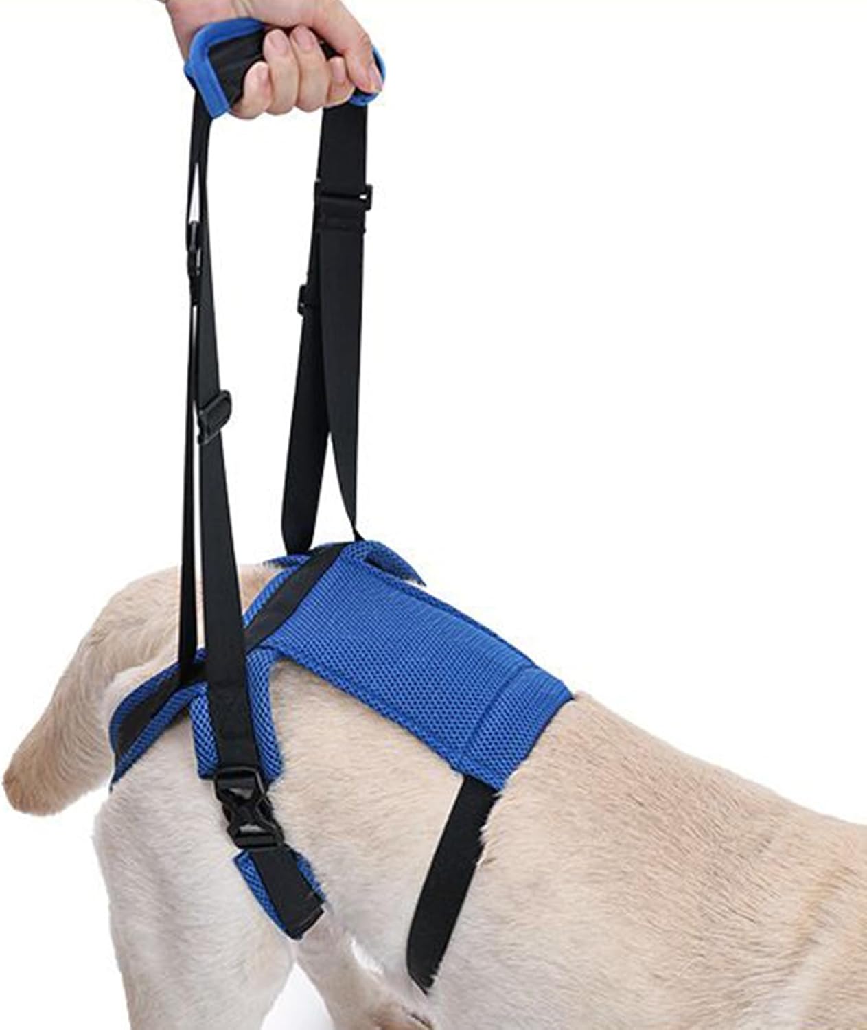 Canine Lift Harness - Rear Mobility Support for Senior Companions | Adjustable Hip Assistance Strap, Soft Padded Sling System, Balanced Weight Distribution with Reinforced Stitching & Comfort Grip Han