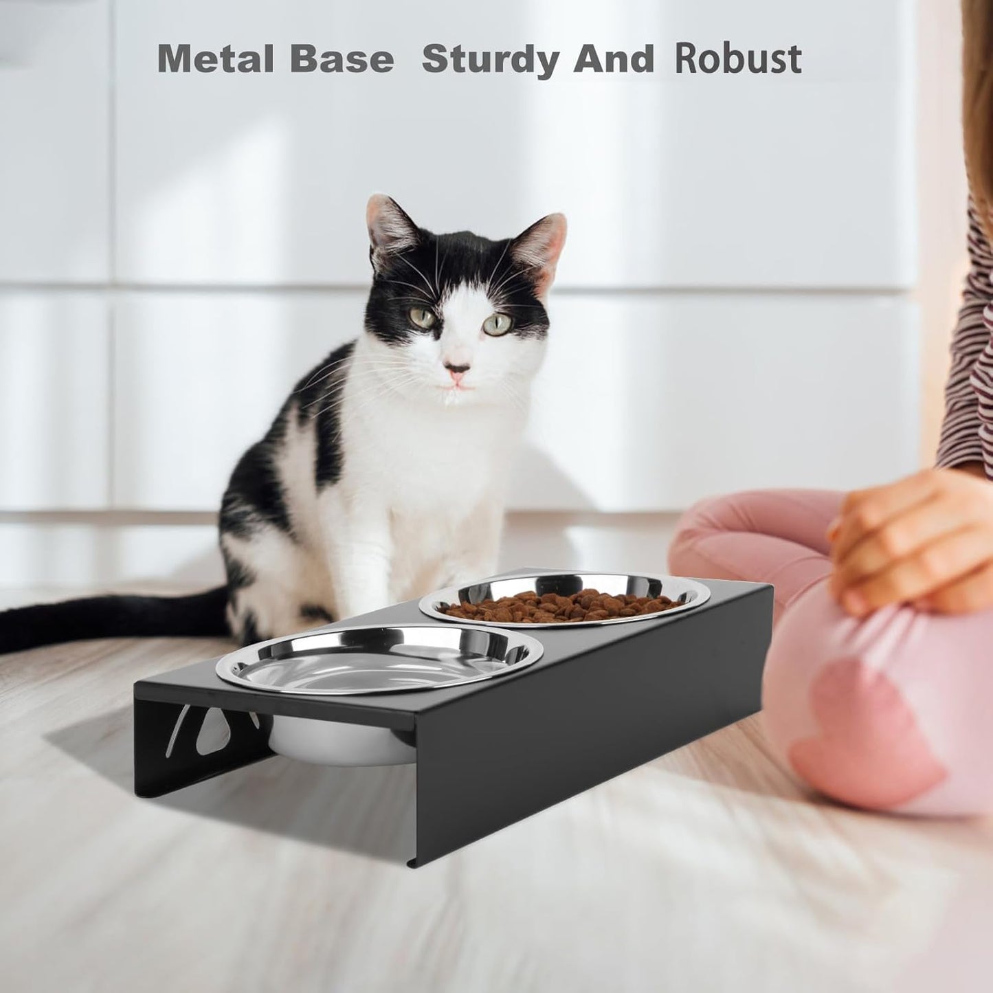 Elevated Cat Bowls 5° Tilted Raised Pet Food Water Bowl Set, 2 Thick Stainless Steel 13.5 oz Cat Dishes Feeder Shallow Wide Cute Whisker Friendly for Indoor Kitten, Small Dogs, Puppy,Black