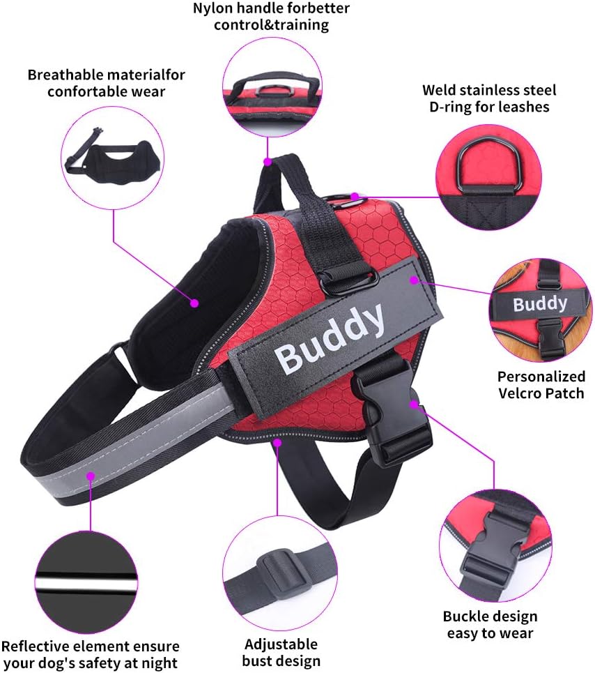 HOTGOL Personalized Dog Harness, Custom No Pull Pet Vest with Name and Phone Number to Prevent Tugging, Pulling, or Choking, Training and Walking(Blue,M)