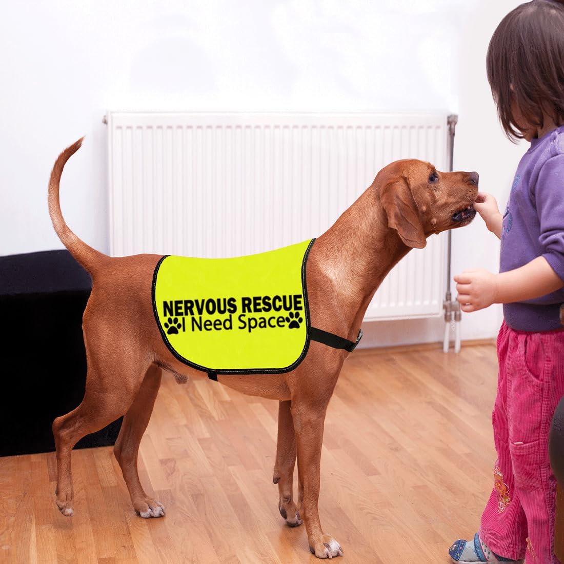 CENWA Nervous Rescue Jacket - Space Dog Walking Slogan Warning Vest (L)