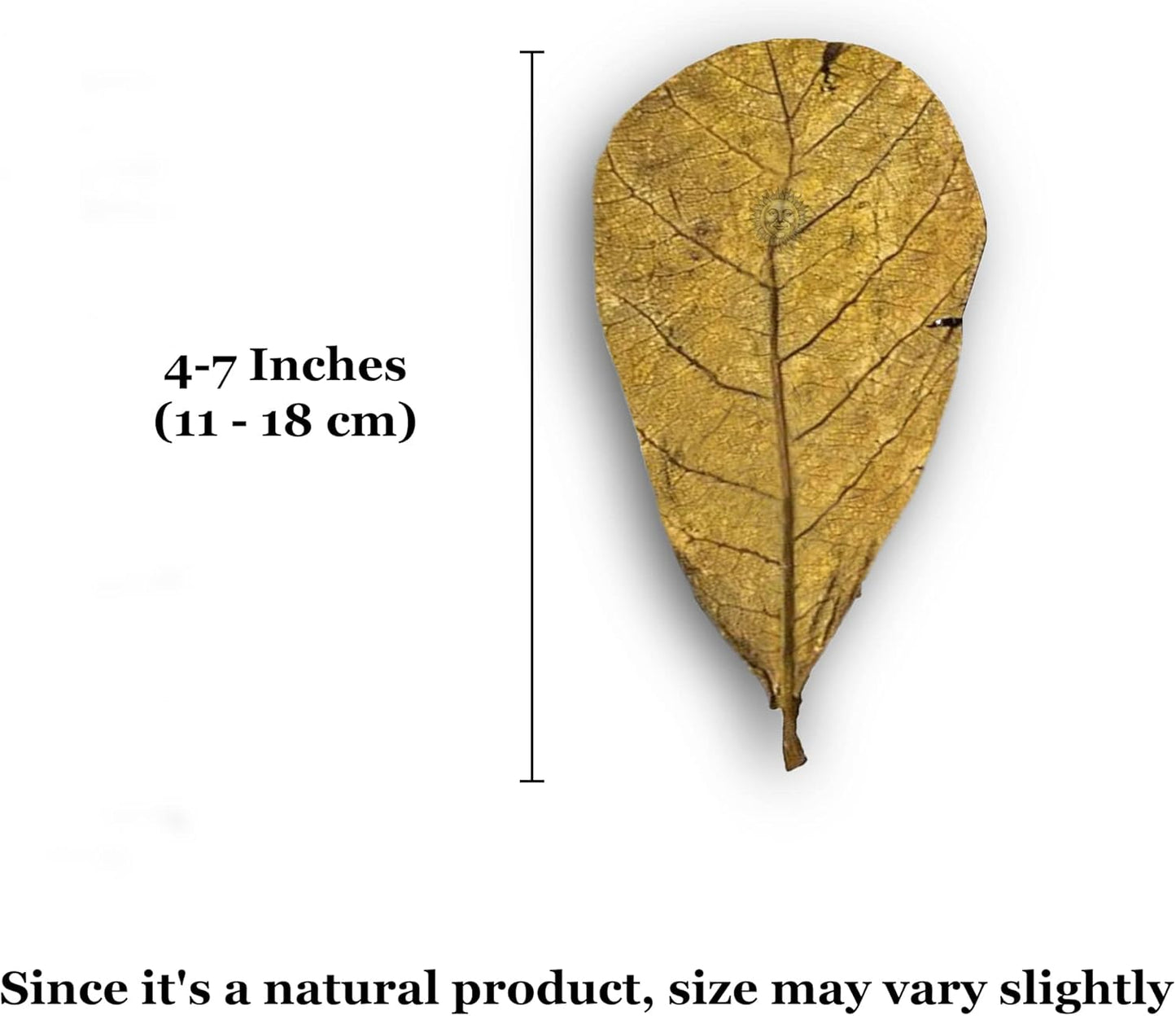 SunGrow 10 Pcs Catappa Indian Almond Leaves for Shrimp Aquariums, 4-7 Inches Long Leaf as Hiding Spot, Tannins Lowers Tank's pH, Softens Water, Enhance Spawning & Vitality Rate
