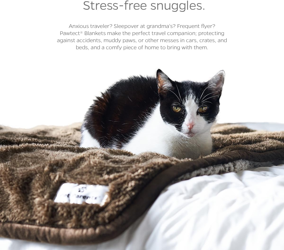 Pet Parents Pawtect Premium Waterproof Cat & Dog Blanket with WickQuick & Sherpup Technology, Puppy & Cat Blanket, Choc 32x40