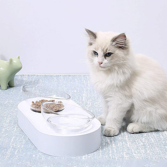 Pet Bowl Adjustable Angle Cat Bowl Oblique Double Bowl Dog Water Bowl Transparent Single Bowl with Raised Stand Pet Food Bowl, B (B)