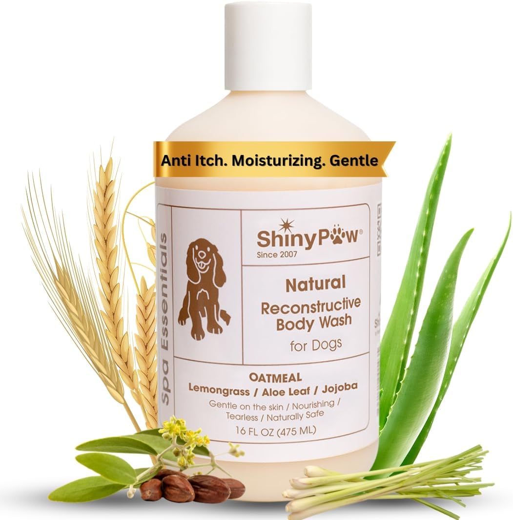 Oatmeal Shampoo for Dogs 16 oz | Shiny Paw Dog Shampoo for Allergies and Itching | Controls Dog Shedding Naturally | Itchy Skin Relief for Dogs | Tearless Dog Shampoo & Conditioner