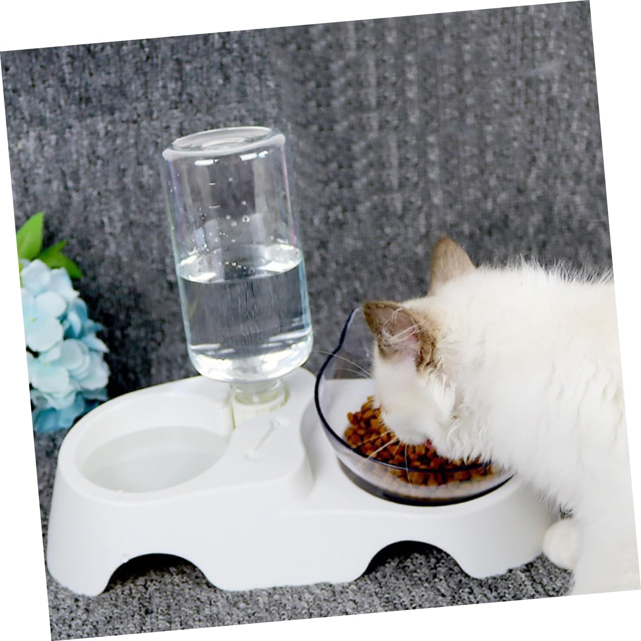 Milisten PET Food and Water Bowl Set 15° Tilted Automatic Water Dispenser for Small to Medium Dogs and Cats