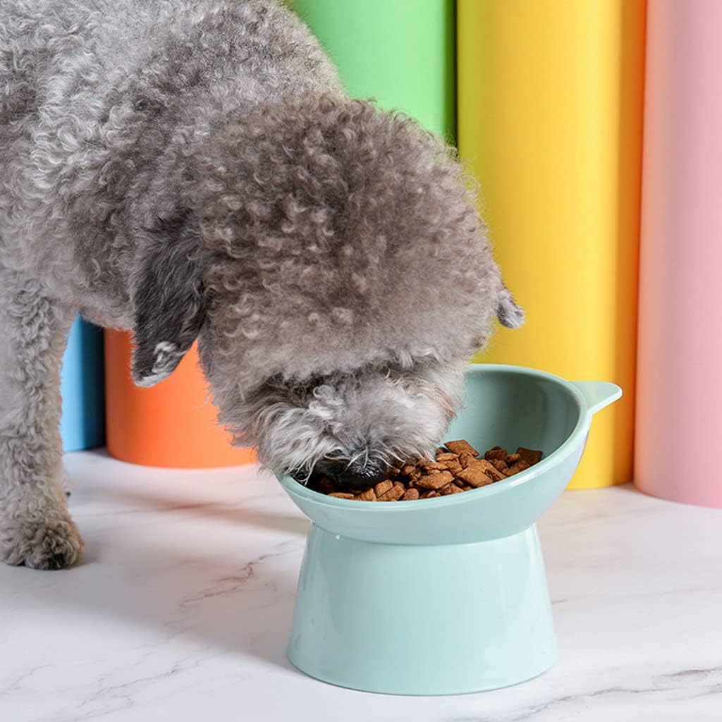 Dog Bowl Raised Cats Food Water Bowls with Elevated Stand Pet Feeding Bowl No-Spill 45° Slanted Pet Dish Blue Green