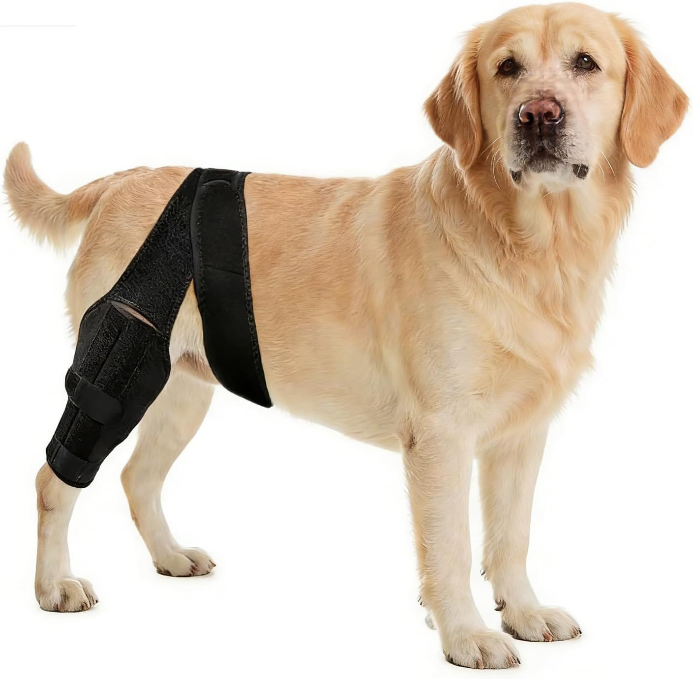 Dog Knee Brace for Torn ACL,Dog ACL Braces with Side Stabilizers,Adjustable Dogs Leg Brace Suitable for 4 Limbs,Dogs Hip Brace for Arthritis Relief, Joint Stability,Reduces Pain and Inflammation