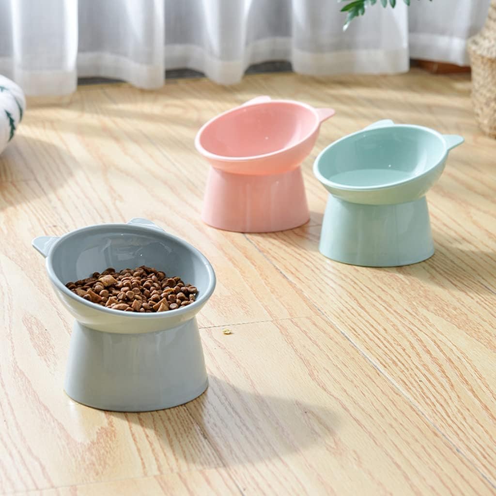 Dog Bowl Raised Cats Food Water Bowls with Elevated Stand Pet Feeding Bowl No-Spill 45° Slanted Pet Dish Blue Green
