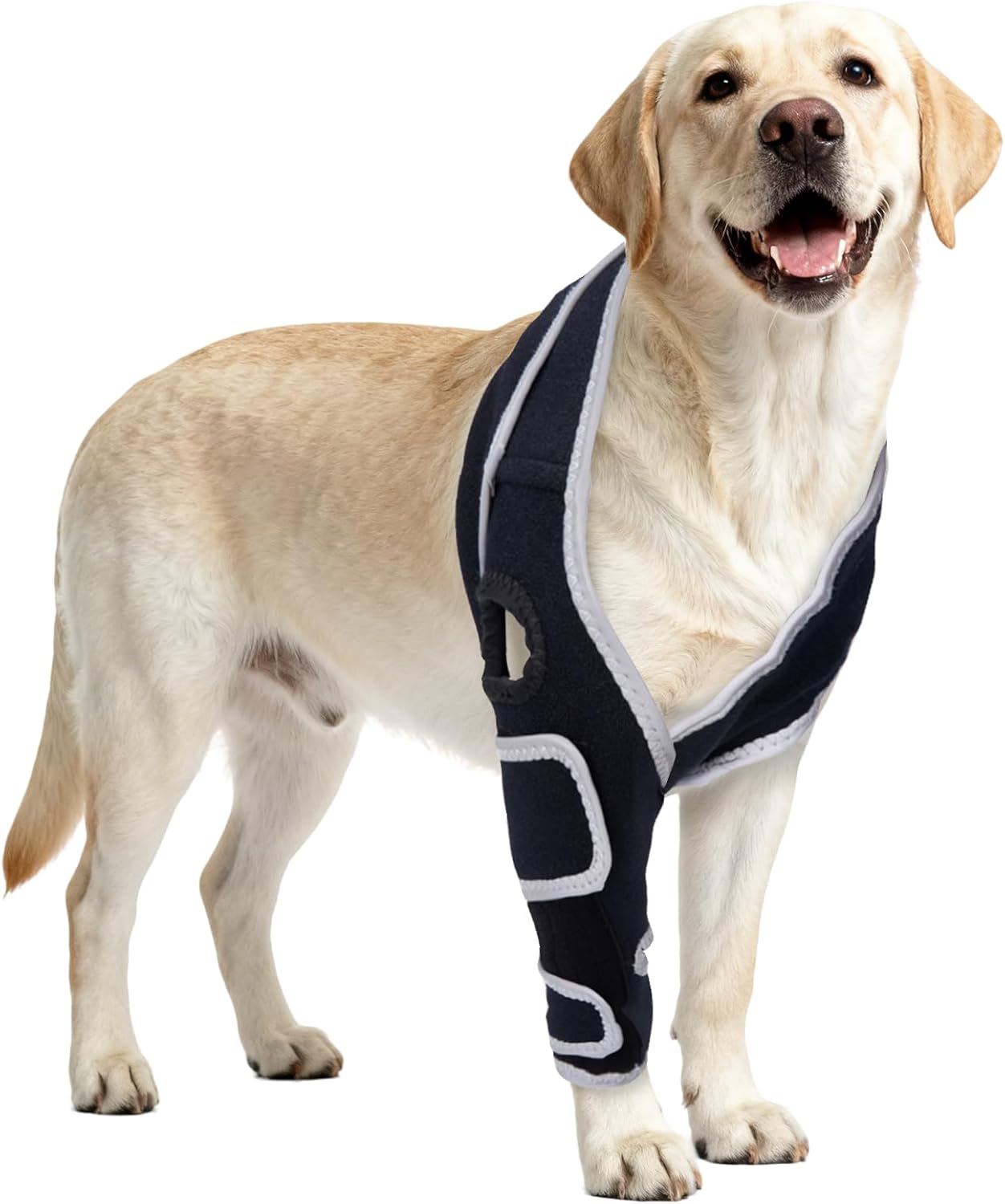 Dog Knee Brace for Torn ACL, CCL – Hind/Back Leg Support with Harness & Anti-Slip Straps – Adjustable Fit, Soft & Breathable, Post Surgery & Injury Recovery Hand Washable S