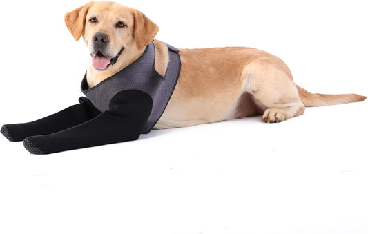 Dog Socks to Prevent Licking Paws ，Breathable Leg Sleeve to Stop Licking and Biting,Firm and Secure Protect Wounds Dog Recovery Sleeve Socks (2XLarge-Gray)
