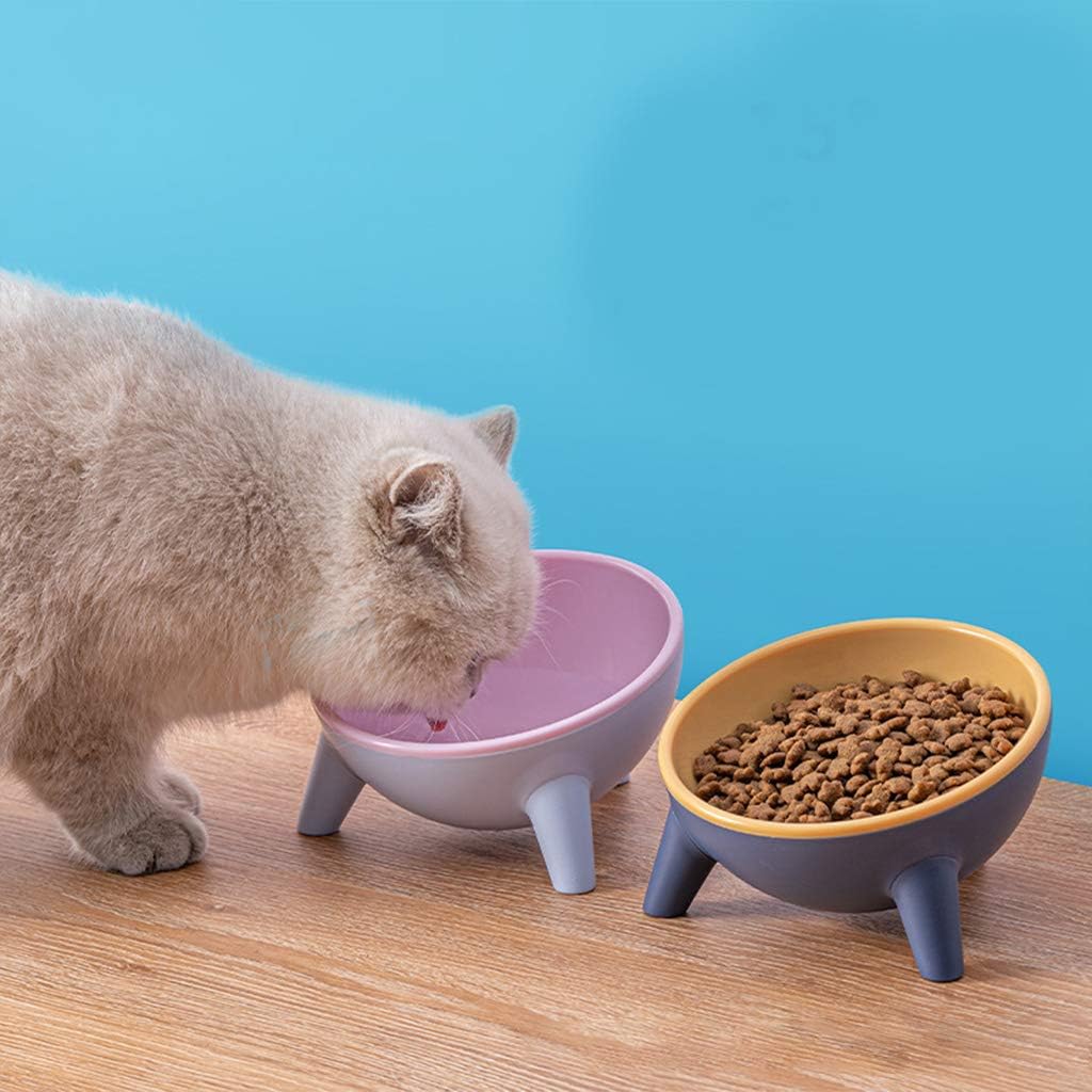 Tilted Pet Bowl, 15 Degree Tilted Cat Feeder Protect for Cat Spine, Elevated Dog Bowl with Stand, Non Slip Pet Feeding Station (Green)