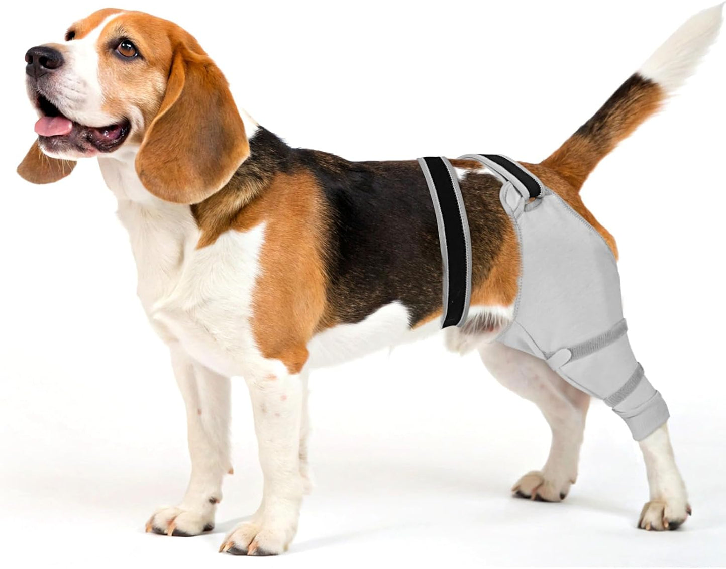 Sleeve for Dog Rear Leg to Stop Licking: Recovery Wrap After TPLO ACL Surgery, for Injured Back Legs, Alternative for Dog Cone for Leg Wounds