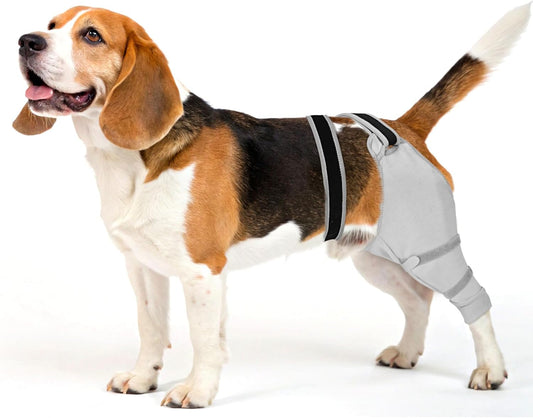 Sleeve for Dog Rear Leg to Stop Licking: Recovery Wrap After TPLO ACL Surgery, for Injured Back Legs, Alternative for Dog Cone for Leg Wounds
