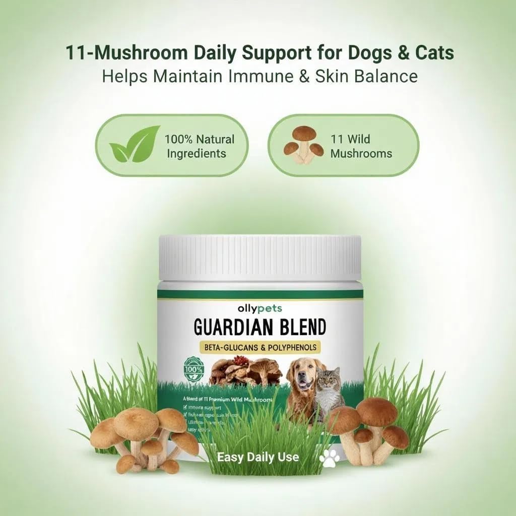 Ollypets Guardian Blend – 11-Mushroom Daily Support Powder for Dogs | Promotes Healthy Skin, Coat & Immune Function | Natural Formula, Bacon Flavor, Mixes Easily with Food