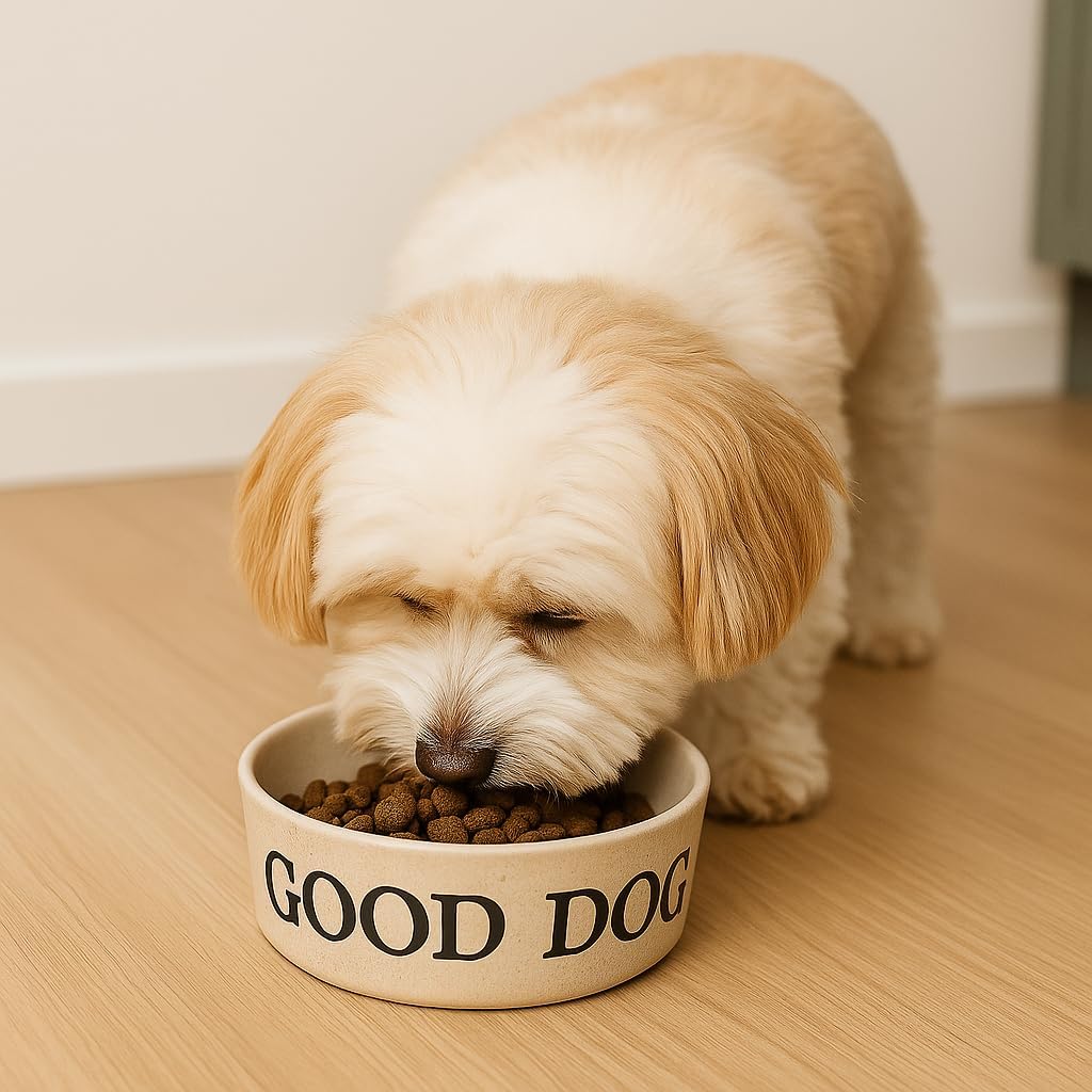 Good Dog Paw Prints Pet Bowl, 3 Cups, Set of 2