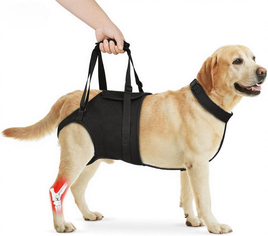 Supet Dog Sling for Large Dogs Hind Leg Support, Senior Dogs Lift Assist Harness for Weak Back Leg Support, Help Large Breed Rear Leg Up Harness, Mobility Aids for Elderly, Injured, Paralyzed Dog, M