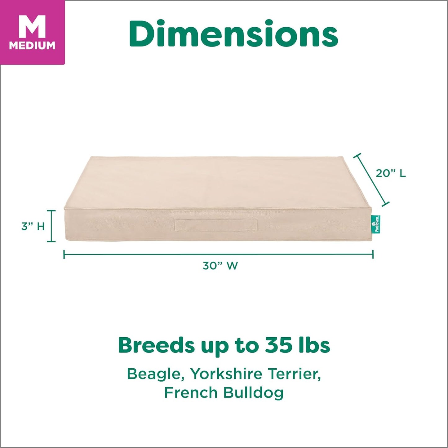 Premium Indoor-Outdoor Deluxe Orthopedic Mattress Pet Bed, Biscuit, Medium