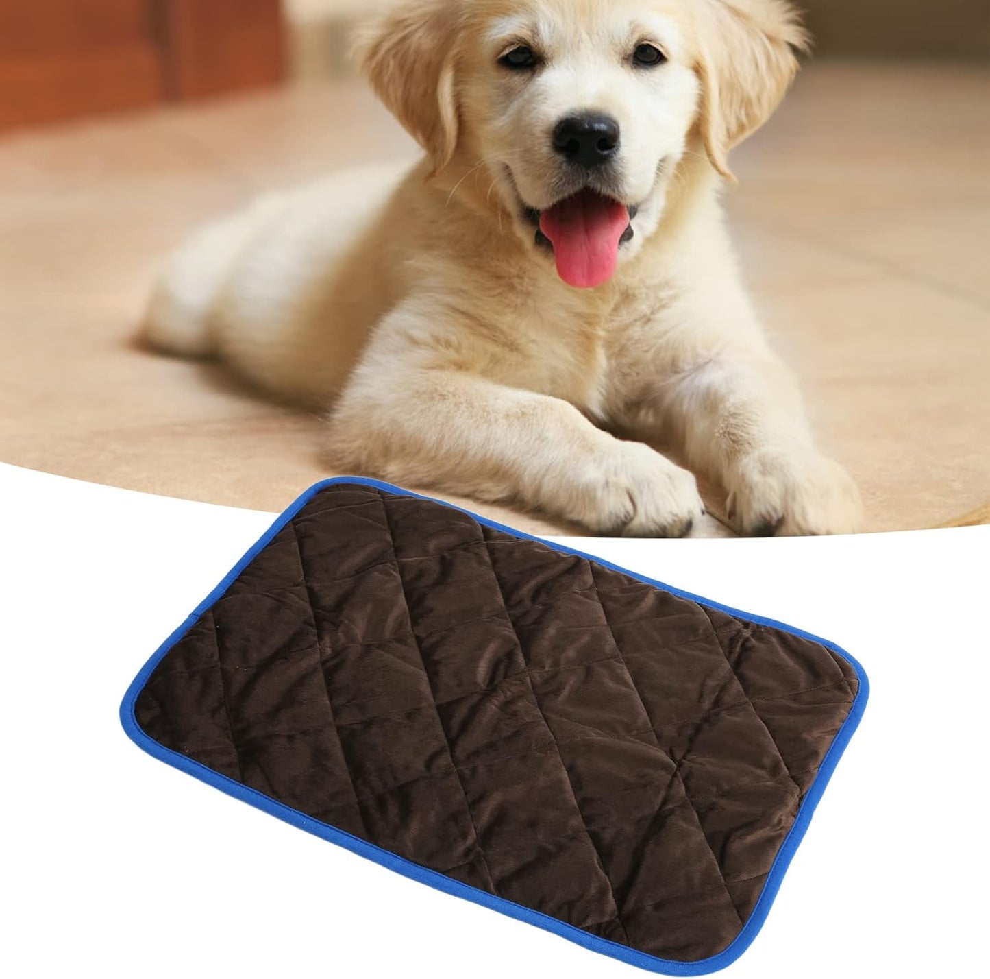 Dog Pee Pad Washable Reusable Self Warming Pet Potty Training Mat Durable Non Slip for Home Car Travel Polyester Soft Fluff Heat Storage Insulation Layer (M)