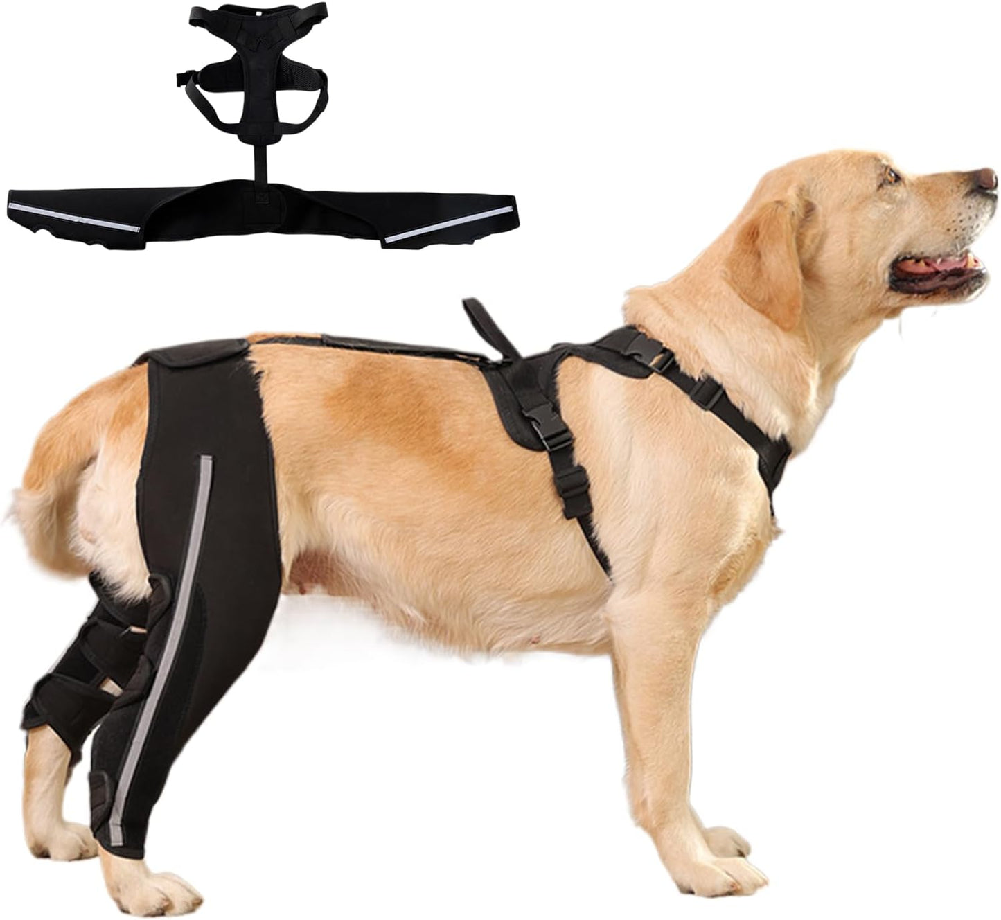 Dog Support Harness for Back Legs - Reflective Strap Lift Harness Sling Carrier,Back Leg Support | for Old Joint Injuries Torn Limping Osteoarthritis Paralysis Walking