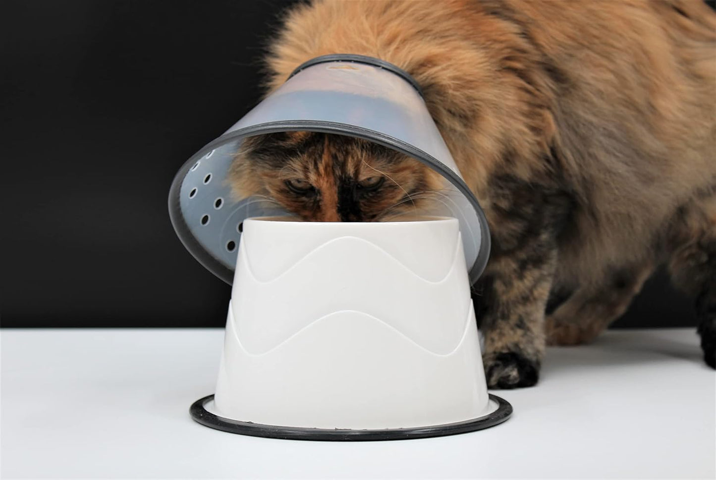 No Slip Base Elevated Bowls for Small Dogs and Cats Wearing Cone - Raised Bowls for Dogs and Cats - 2 Pair