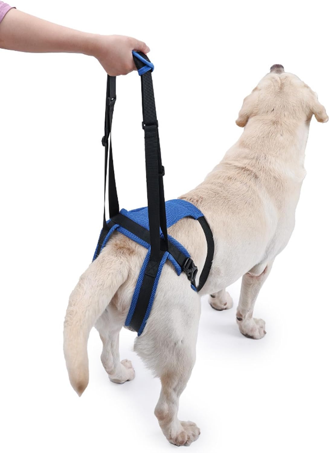 Pet Rear Leg Assistance Strap with Upgraded Design Adjustable Belt for Joint Pressure Relief and Easy Movements Adjustable Dog Rear Harness Dog Assist Harness