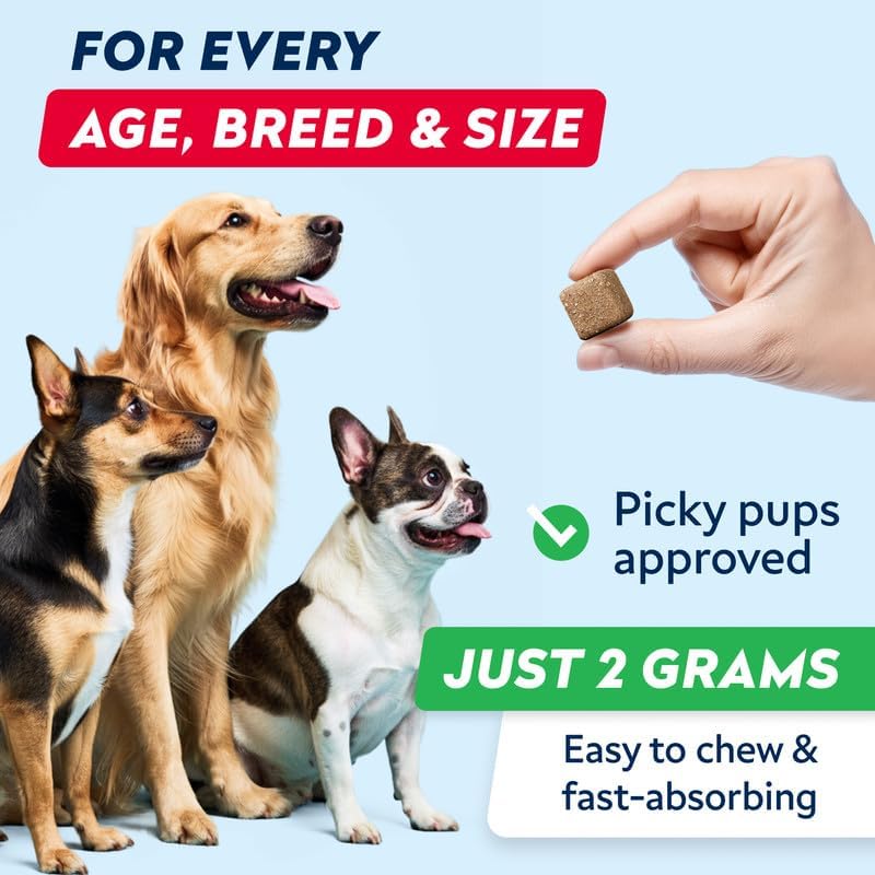 STRELLALAB Dog Pee Grass Chews - Urine Neutralizer for Green Grass Burn Spots - Grass Treatment for Pet Urine - Green Lawn Chews for Dogs with Probiotics - Made in USA (120Ct)