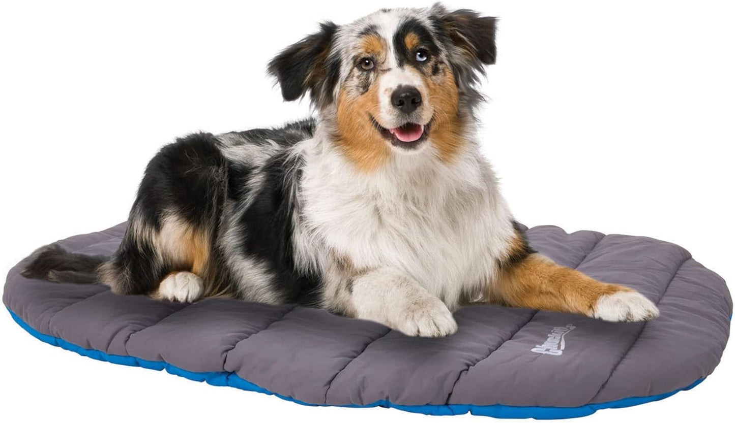Chuckit! Outdoor Travel Portable Water Resistant Travel Pillow Dog Bed For Medium to Large Dogs 20 to 100 lbs, 39"L x 30"W, Blue
