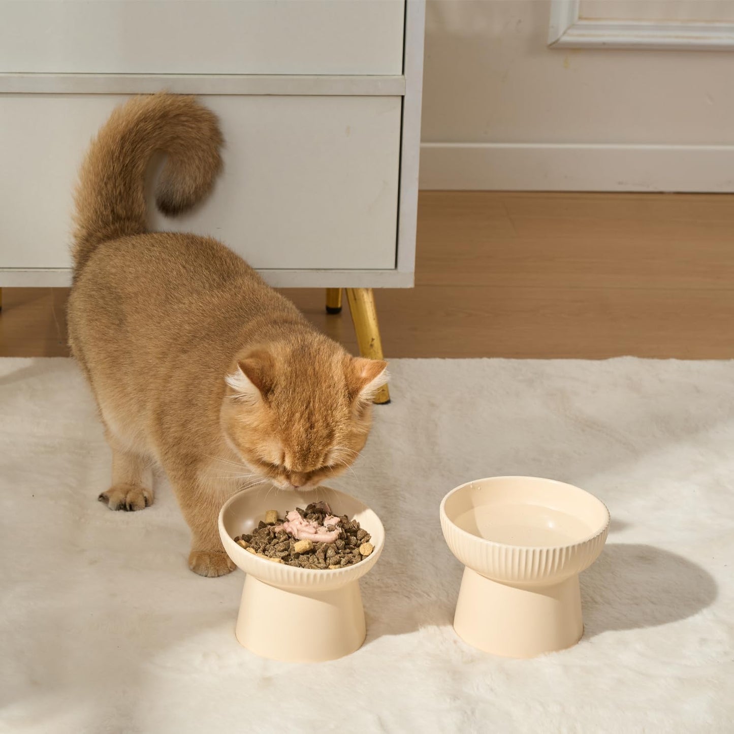 Ceramic Elevated Cat Bowls-Water Bowl, 15° Tilted Design, Anti-Vomiting & Spine Protection, Prevent Whisker Fatigue for Kittens to Adult Cats and Small Dogs (Purple-Elevated Cat Bowls-2)