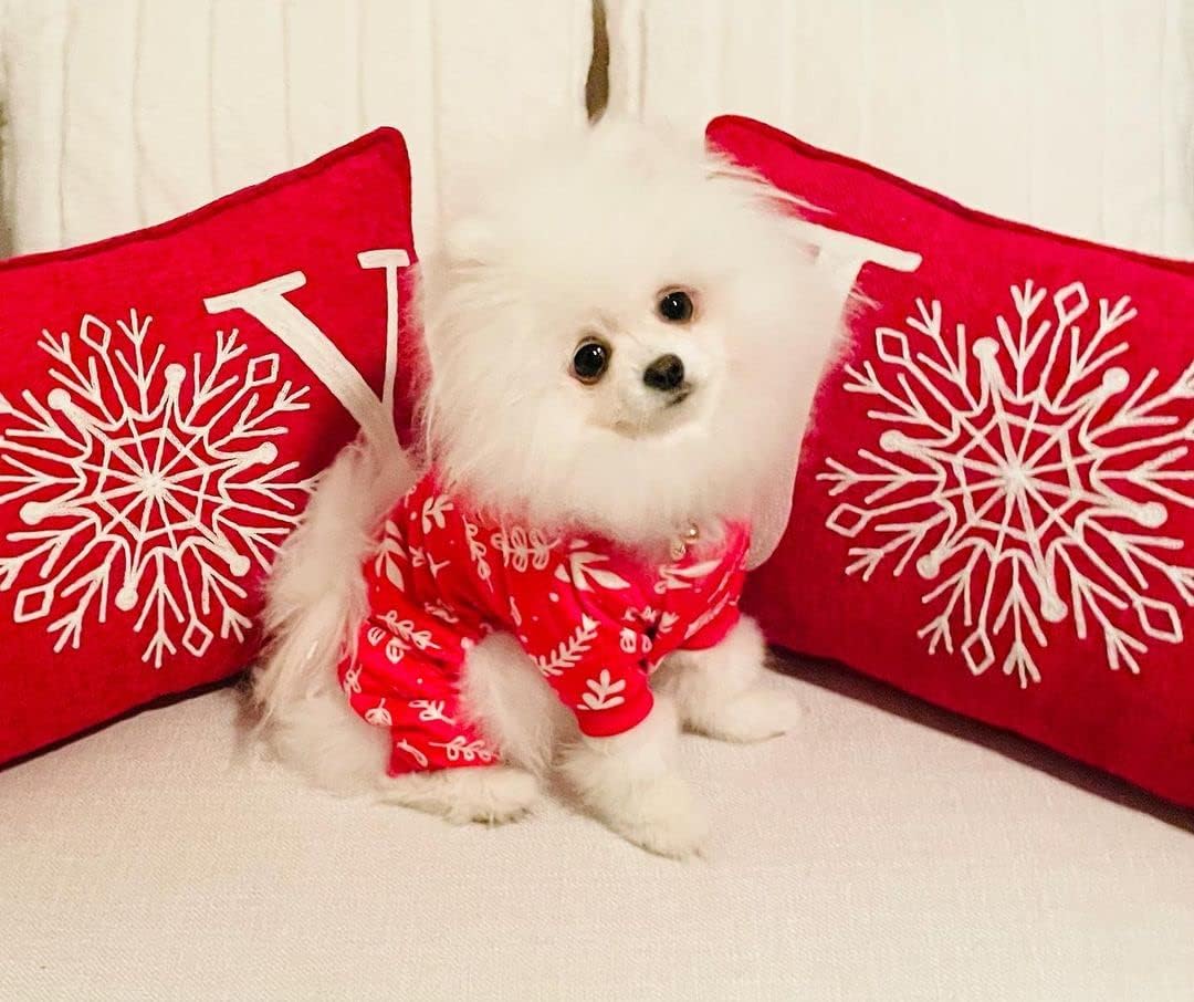 CuteBone Soft & Stretchy Christmas Dog Pajamas - Cozy Pet Jammies Breathable Jumpsuit for Small Dogs - All-Season Comfy Outfit Easy-On Pullover Design - Keeps Pets Warm & Comfortable P18M