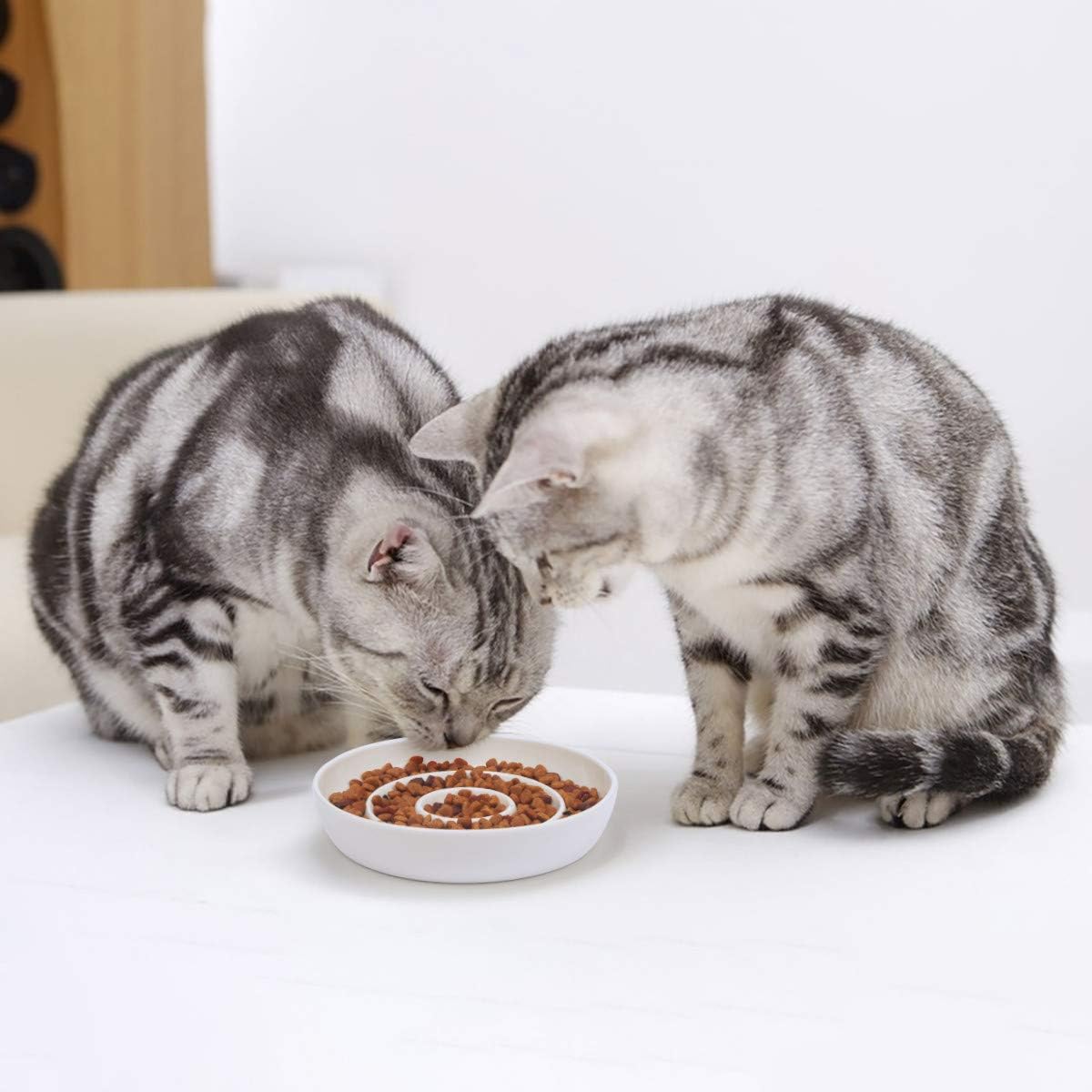 SLSON Cat Slow Feeder Bowl,Ceramic Slow Feed Cat Bowls Heavy and Shallow Wisker Stress-Free Pets Dish for Kittens Small Pets Wet Food,White