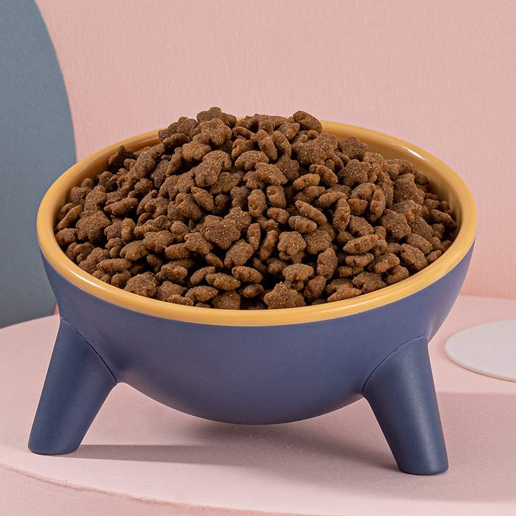 Tilted Pet Bowl, 15 Degree Tilted Cat Feeder Protect for Cat Spine, Elevated Dog Bowl with Stand, Non Slip Pet Feeding Station (Green)