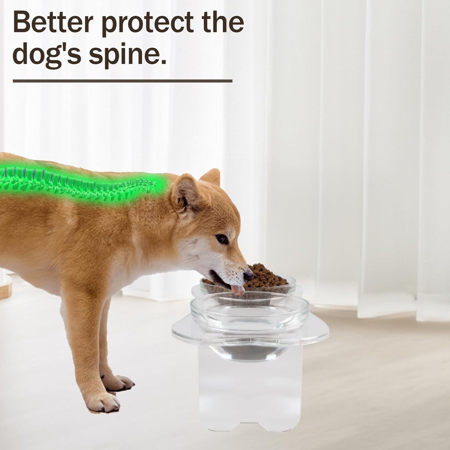 Geyecete Acrylic Dog Bowl Stand Dog and Cat Bowls Elevated Set with 2 Set Removable Glass Bowls Food and Water Raised Dishes Dog Bowl Elevated