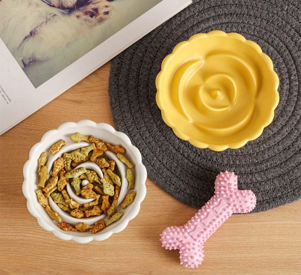 Ceramic Raised Cat Slow Feeder Bowls Whisker Friendly Anti Vomiting Cat Slow Eating Food Bowl for Cats Puppy Dogs Neck Support Plates (White)