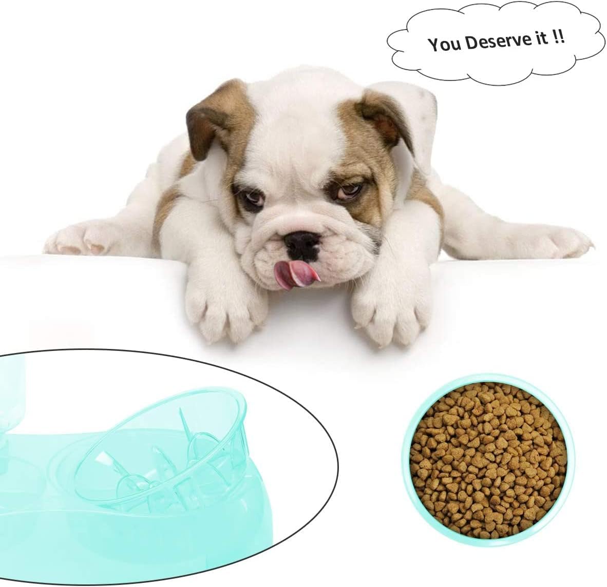 2 in 1 Pet Feeder Water Automatic Dispenser with Bottle, Dog Bowl Slow Feeder, Dog Drinking Fountain Water Bowl for Dog Cat Puppy Kitty, Pet Food and Water Bowl Set Pet Water Dispenser (Green)