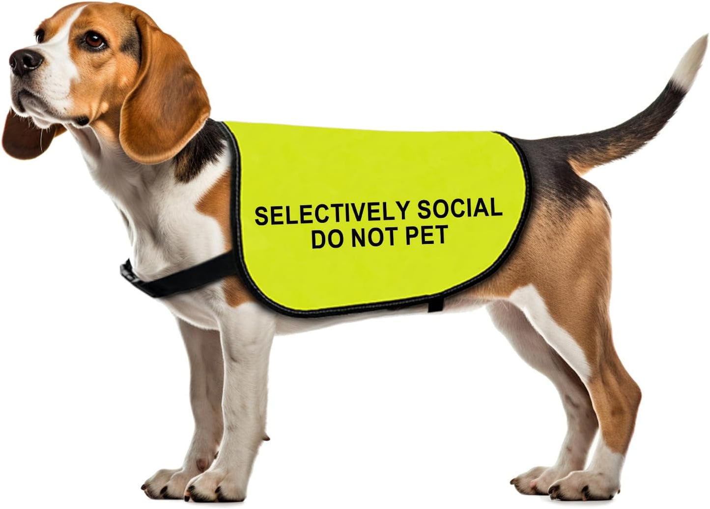 Social Anxiety Dog Jacket Vest Selectively Social Do Not Pet Vest Dog Walking Slogan Warning Vest (Selectively Social-Large)