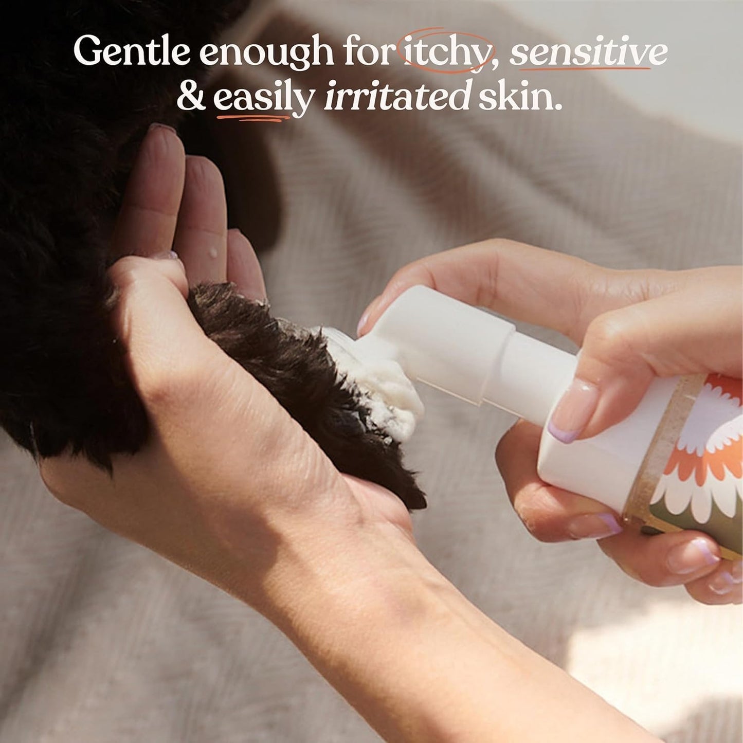 Dandylion Clean Paws | No-Rinse Dog Paw Cleaner & Dog Paw Washer | Gentle, Fragrance-Free, pH Balanced Foaming Cleanser with Silicone Bristle Brush | Safe for All Dogs | 5 fl oz