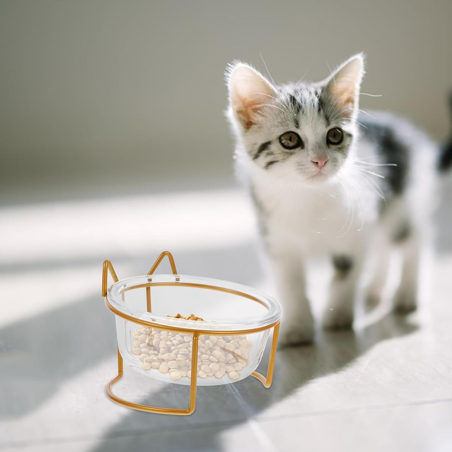 Milisten Glass Raised Cat Bowl with Neck Protection, Slant Design Pet Food and Water Feeder, Whisker-Friendly Tilted Feeding Dish for Cats, Single High Base Bowl for Indoor Use