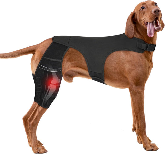 Adjustable Dog Knee Brace for ACL Tear and Arthritis Recovery - Dual Hind Leg Support with Harness Connection - Orthopedic Leg Wrap for Joint Stability and Pain Relief in Small to Large Dog (L)