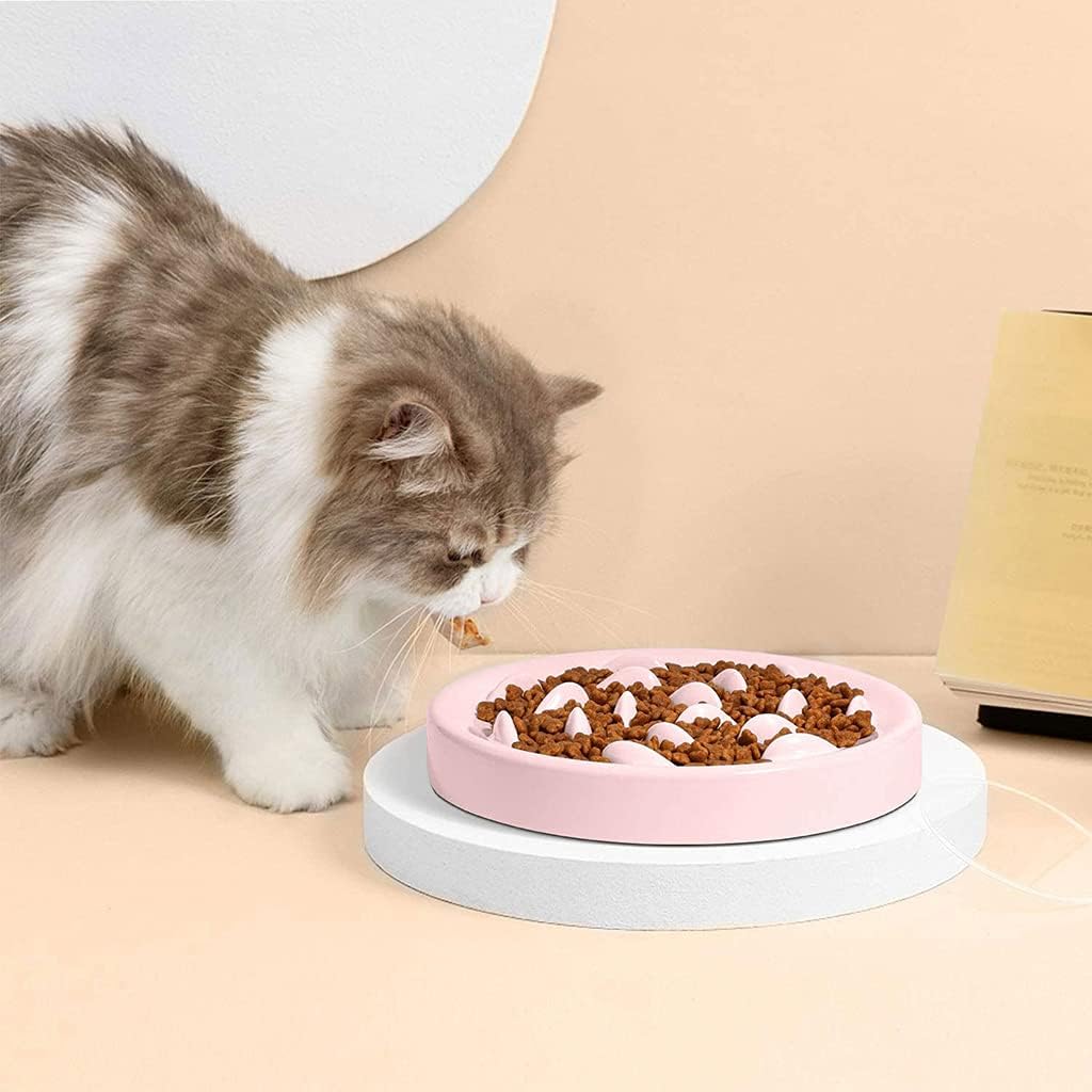 for Slow Eating Non Slip Dog Puzzle Bowl Feeder Dish Pet Bowls with Fish Pattern