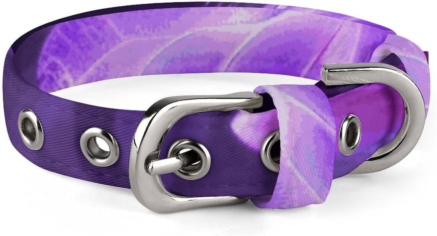 Lovely Purple Dog Collar with Buckle Adjustable Martingale Pet Collars Cute Female Male Puppy Collar Soft Waterproof Cat Collars for Small Medium Dogs