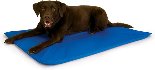 K&H Pet Products Cool Bed III Dog Cooling Mat, Indoor Outdoor Cooling Beds for Large Dogs, Chilling Pet Pad for in Home, Outdoor Houses, Crates, Yards, Porches - Large 44 X 32in Chill Blue