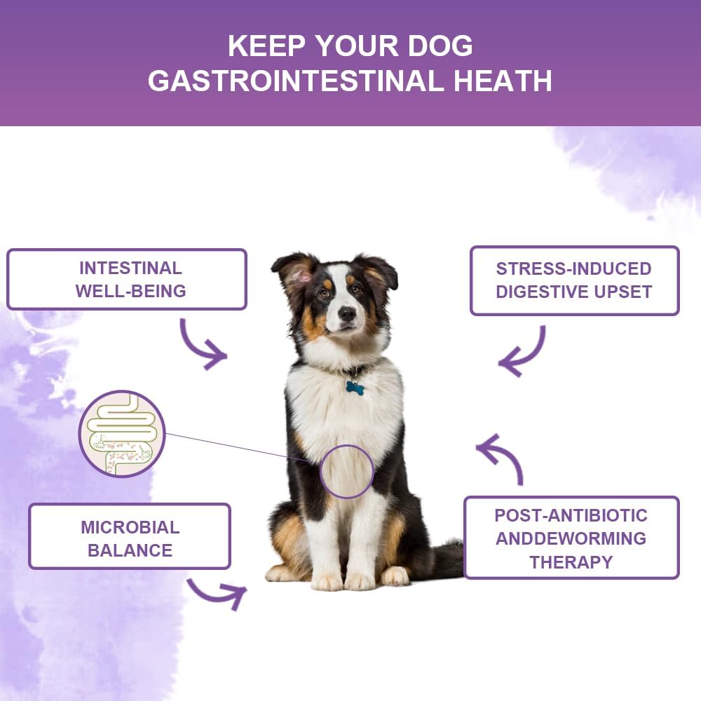 Probiotics for Dogs Chews, Duck Flavor - Supports Gut Health, Digestive Balance & Seasonal Allergy Relief & Itchy Skin Relief - Prebiotic & Probiotic Soft Chews(120 Count) (Duck)