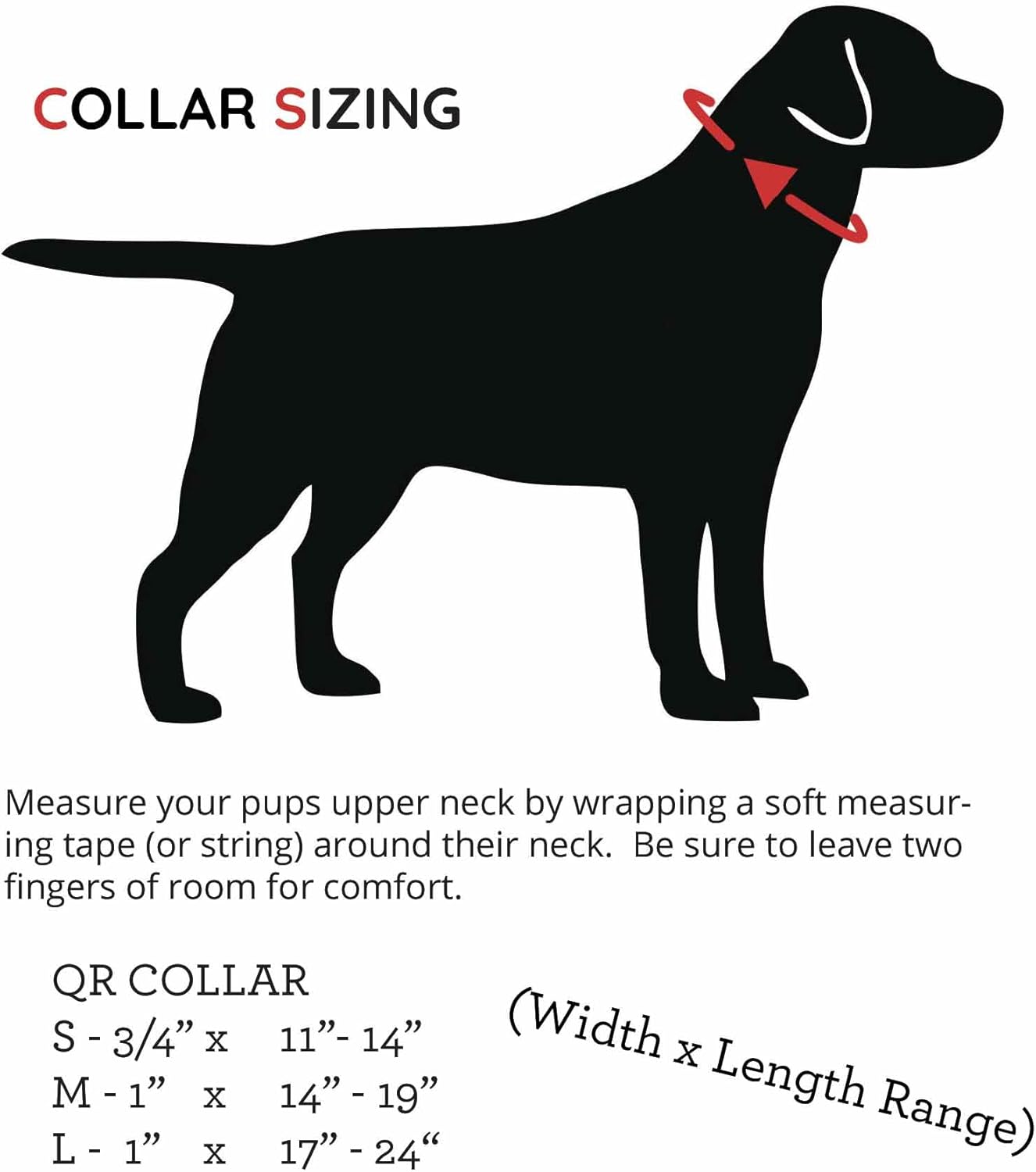 PACKT - Endeavor X3 Waterproof Dog Collar | Made in USA, Odor Proof, 100% Waterproof | Leather-Like Biothane Dog Collar |Rust-Proof Stainless Steel Hardware | 2-Year Chew-Warranty | Ocean-Medium